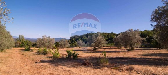 Casa de 4 divisões em Roccastrada, Italy N.º 258350 37