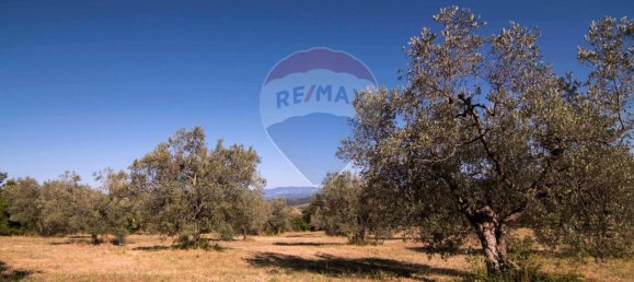 Casa de 4 divisões em Roccastrada, Italy N.º 258350 32