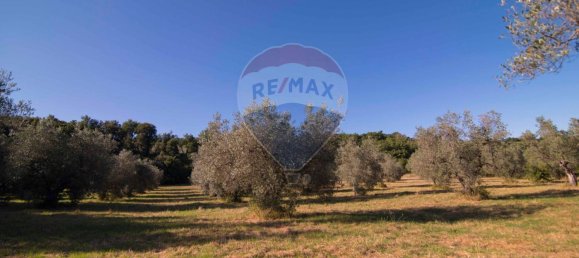 Casa de 4 divisões em Roccastrada, Italy N.º 258350 38