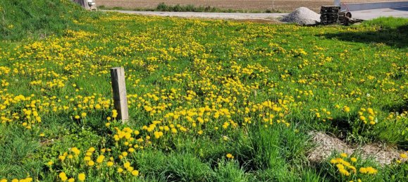 Земельный участок в Занкт Марин, Австрия № 106908 3