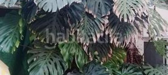 4 bedrooms House in Antella, Spain No. 129413 88