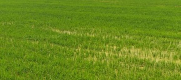 Almacén de 1 habitación en Semiana, Italy No. 184122 4