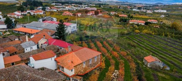 3 chambres Maison à Armamar, Portugal No. 186022 6