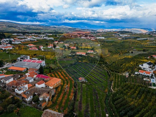 3 chambres Maison à Armamar, Portugal No. 186022