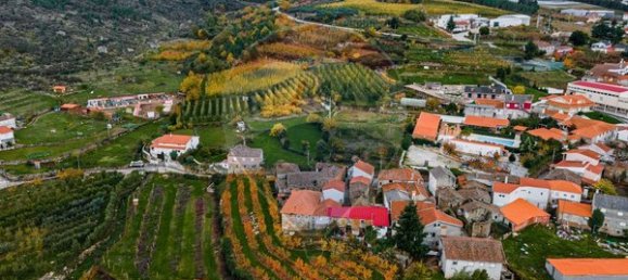3 chambres Maison à Armamar, Portugal No. 186022 4