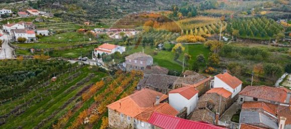 3 chambres Maison à Armamar, Portugal No. 186022 10
