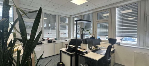 Офис 360м² в Goppingen, Германия № 248474 6