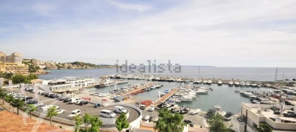 11 غرف نوم منزل في Palma de Majorca, Spain رقم 72072 36