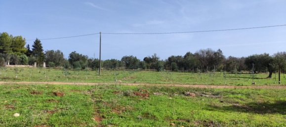 Villa de 5 divisões em Galatone, Italy N.º 59649 9