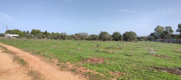 Villa de 5 divisões em Galatone, Italy N.º 59649 4