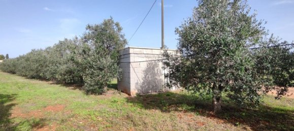 Villa de 5 divisões em Galatone, Italy N.º 59649 12