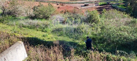 3 chambres Maison à Mafra, Portugal No. 73911 2