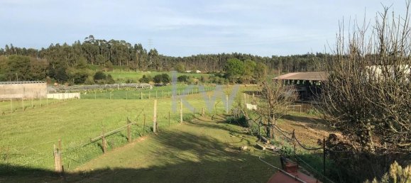 5 Schlafzimmer Haus in Vila Nova de Famalicao, Portugal, Nr. 56853 35