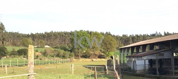 5 Schlafzimmer Haus in Vila Nova de Famalicao, Portugal, Nr. 56853 34