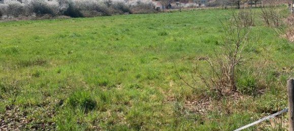 Земельный участок в Пюи-де-Дом, Франция № 342679 3