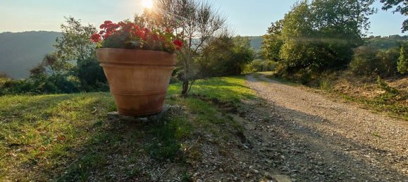 10 rooms House in Lisciano Niccone, Italy No. 58026 6