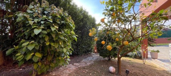 5 bedrooms House in Obidos, Portugal No. 109527 17