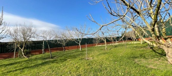 5 bedrooms House in Obidos, Portugal No. 109527 29