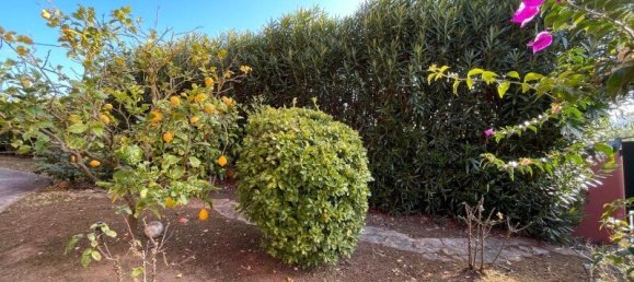 5 bedrooms House in Obidos, Portugal No. 109527 32