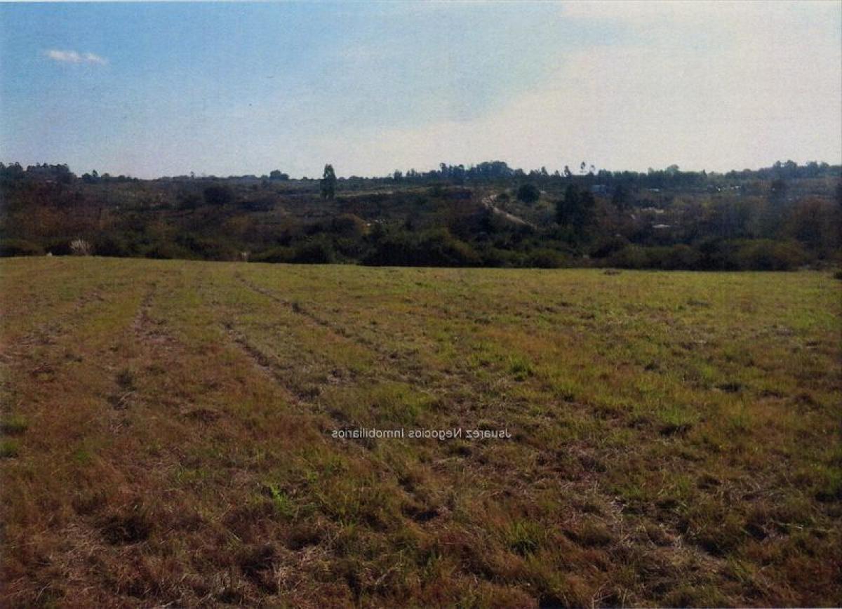 Grundstück in Canelones, Uruguay, Nr. 15731