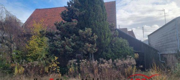 Cafe / Restaurant in Kaiserslautern, Germany 880m², Nr. 175943 9