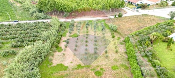 Terreno em Anadia, Portugal 3500 m² N.º 63025 2