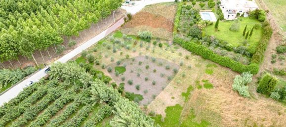 Terreno em Anadia, Portugal 3500 m² N.º 63025 6