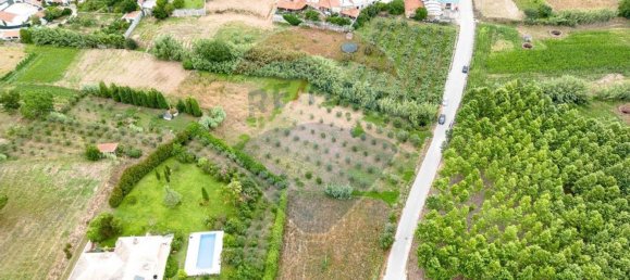 Terreno em Anadia, Portugal 3500 m² N.º 63025 5