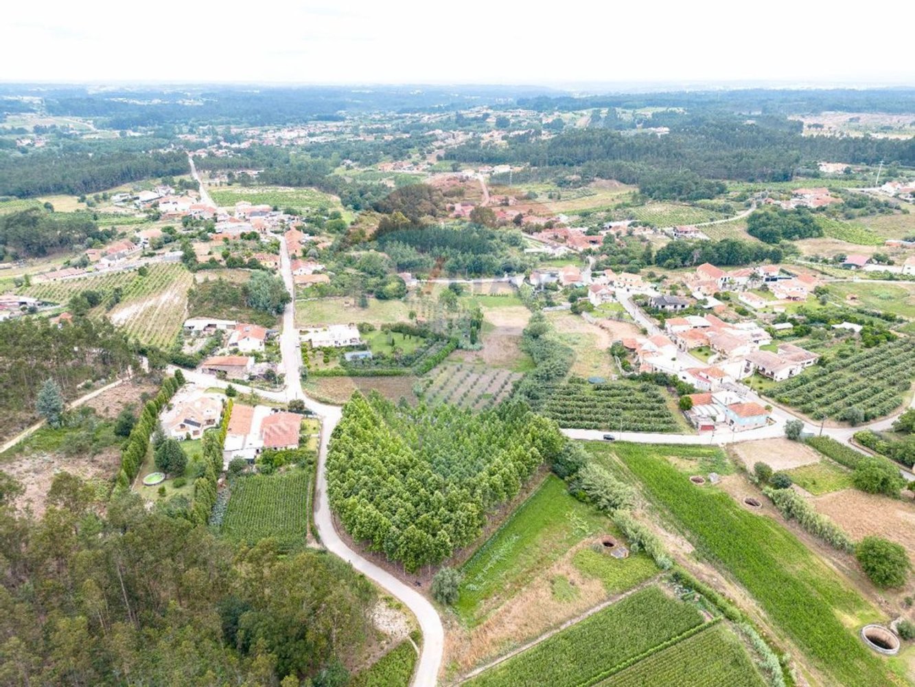 Terreno em Anadia, Portugal 3500 m² N.º 63025