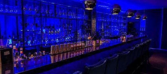 Коммерческая недвижимость с 1 комнатой в Ортенау, Германия № 49228 3