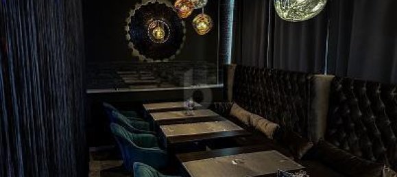 Коммерческая недвижимость с 1 комнатой в Ортенау, Германия № 49228 5