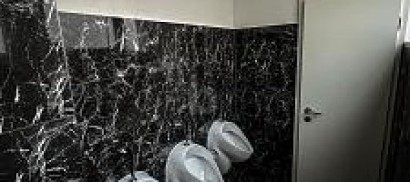 Коммерческая недвижимость с 1 комнатой в Ортенау, Германия № 49228 4