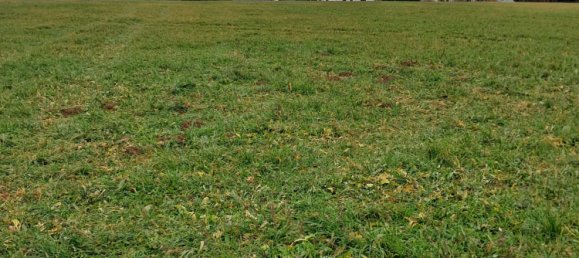 Земельный участок в Altotting, Германия № 144290 2