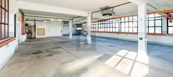 Propiedad comercial de 5 habitaciónes en Peine, Germany No. 220693 4