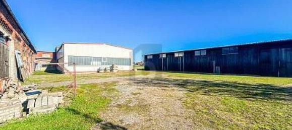 Propiedad comercial de 5 habitaciónes en Peine, Germany No. 220693 3