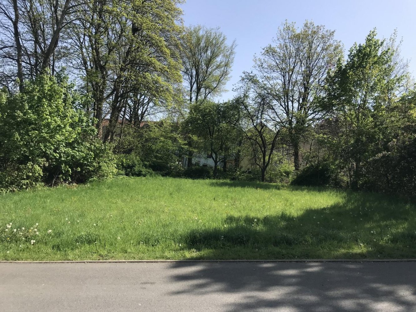  Land in Zwickau, Germany No. 147319