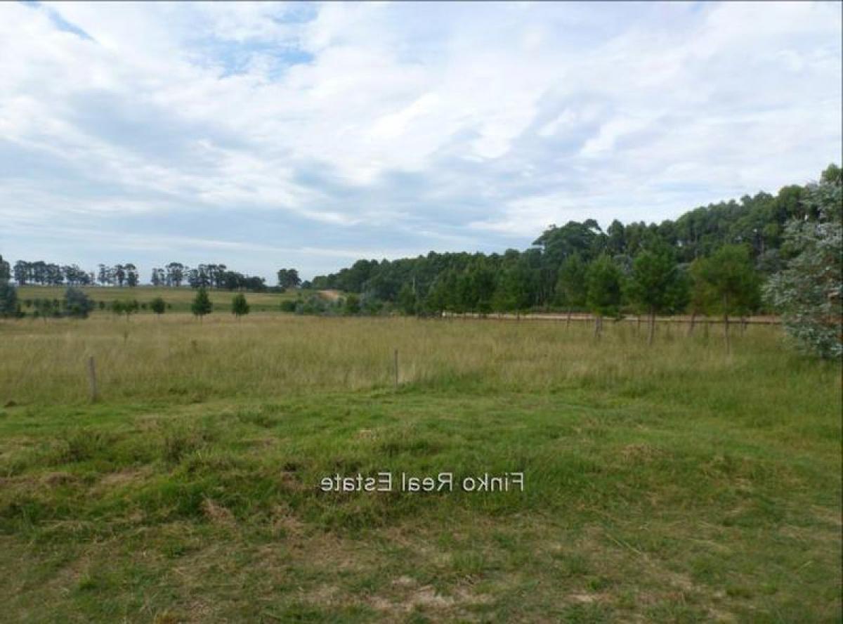 Casa de 2 dormitorios en Rocha, Uruguay No. 6451