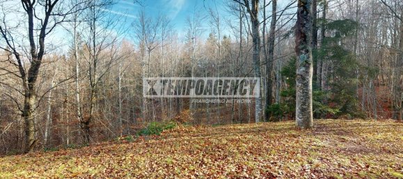 5-Zimmer Villa in Lama Mocogno, Italy, Nr. 120298 32