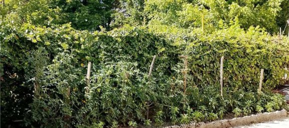 7 rooms House in San Prospero, Italy No. 295681 17