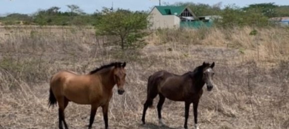  Land in Liberia, Costa Rica No. 1851 6