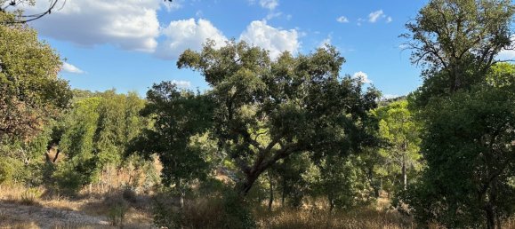 Земельный участок 234м² в Грандола, Португалия № 141532 8