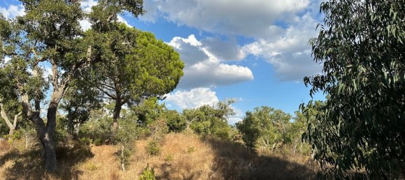 Земельный участок 234м² в Грандола, Португалия № 141532 5