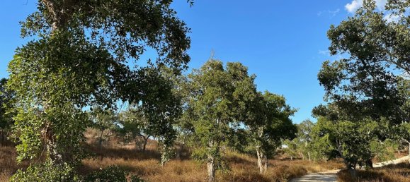 Земельный участок 234м² в Грандола, Португалия № 141532 3