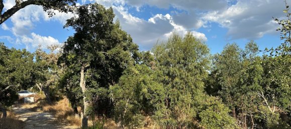 Земельный участок 234м² в Грандола, Португалия № 141532 6