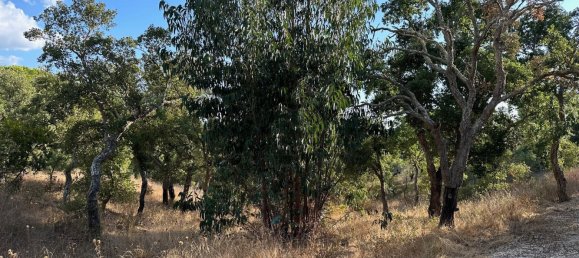 Земельный участок 234м² в Грандола, Португалия № 141532 12