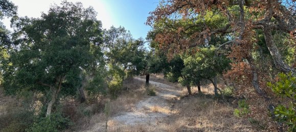 Земельный участок 234м² в Грандола, Португалия № 141532 9