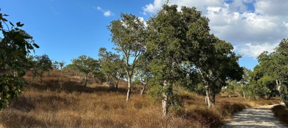 Земельный участок 234м² в Грандола, Португалия № 141532 4