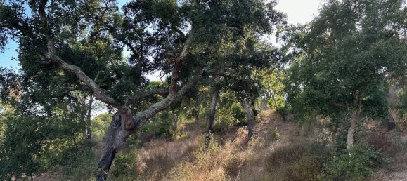 Земельный участок 234м² в Грандола, Португалия № 141532 16