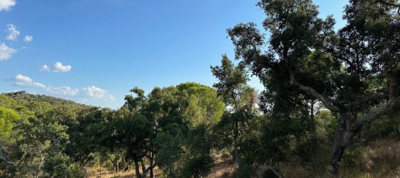 Земельный участок 234м² в Грандола, Португалия № 141532 10