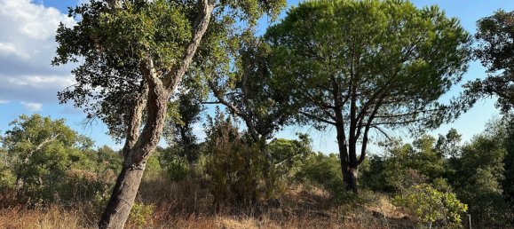 Земельный участок 234м² в Грандола, Португалия № 141532 14